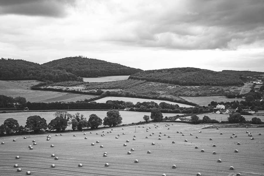Brexit won’t hurt land values