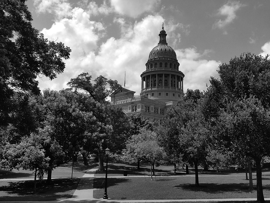 Light in the darkness: optimism of institutional capital