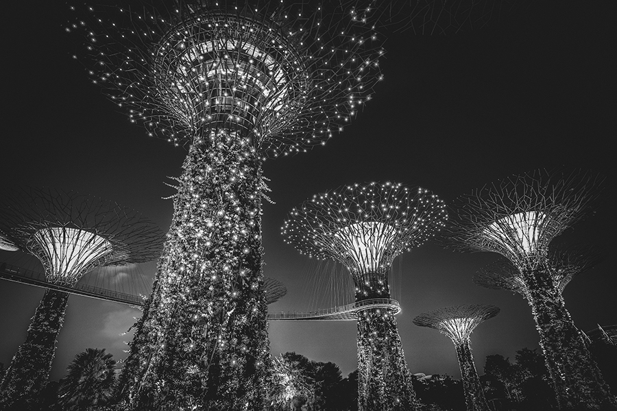 Singapore REITs: monthly ﻿analysis 