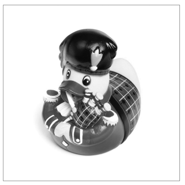 Confessions of a valuer – chapter 17: Scotland, ducks and water
