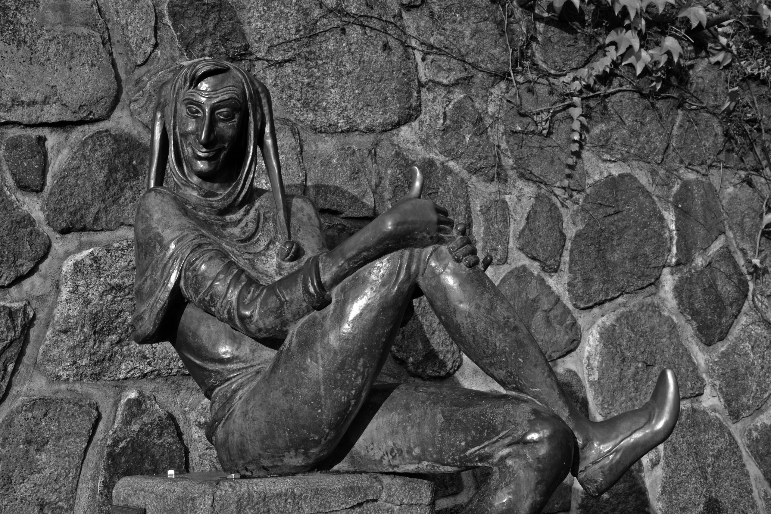 Delusions and theory of the greater fool
