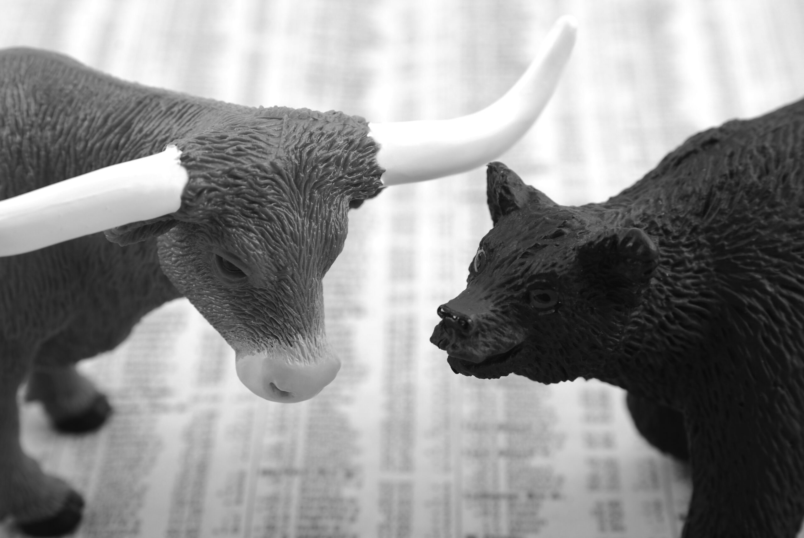 Bulls vs bears