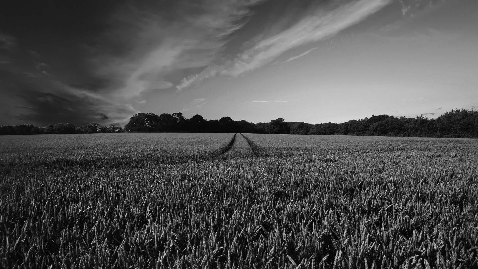 Use UK land wisely