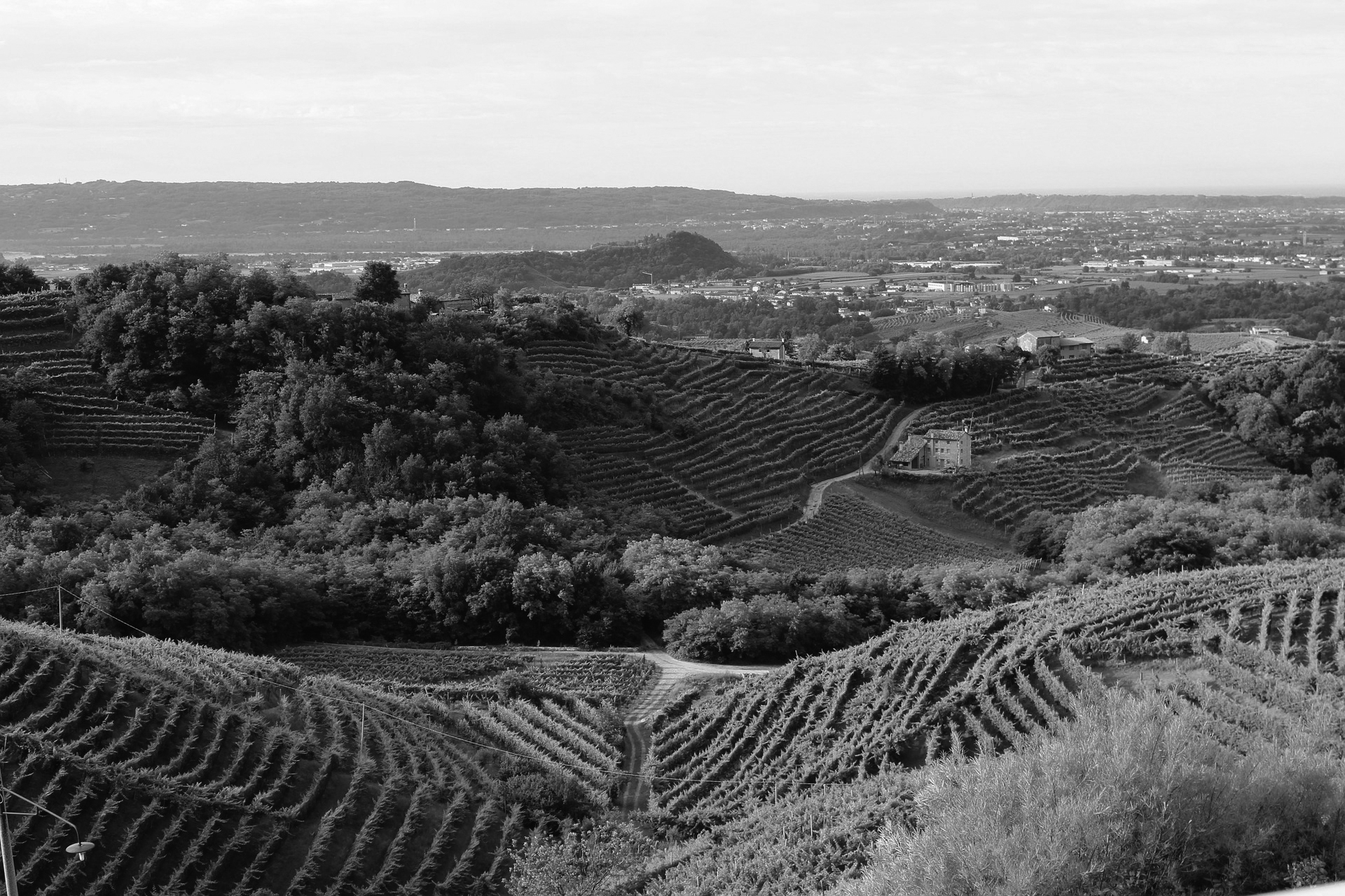 Terroir part 1 – intro and soil