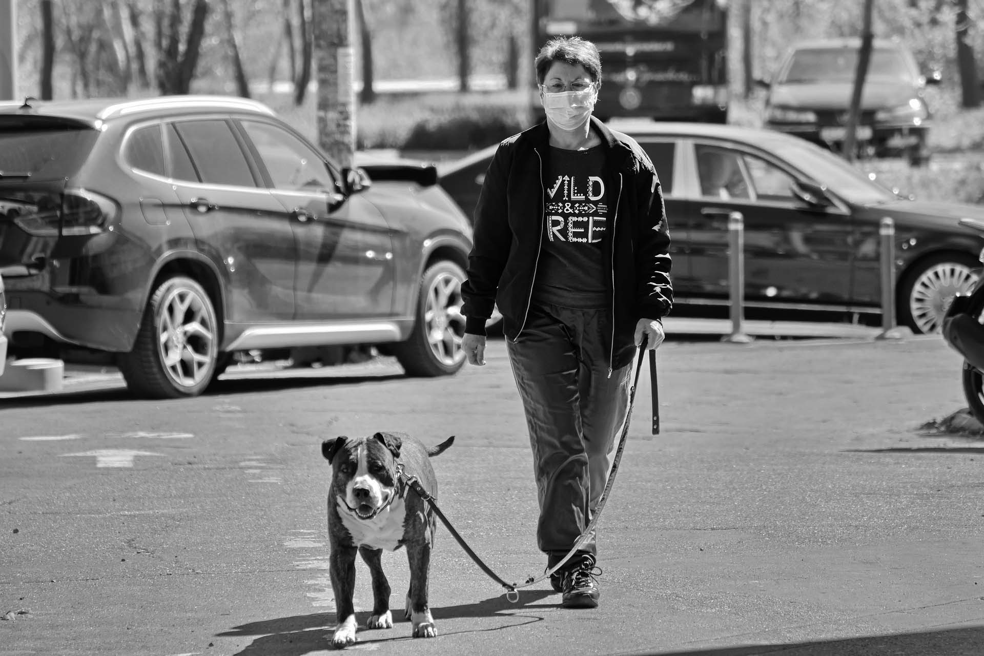 A walk in the park on a historic day