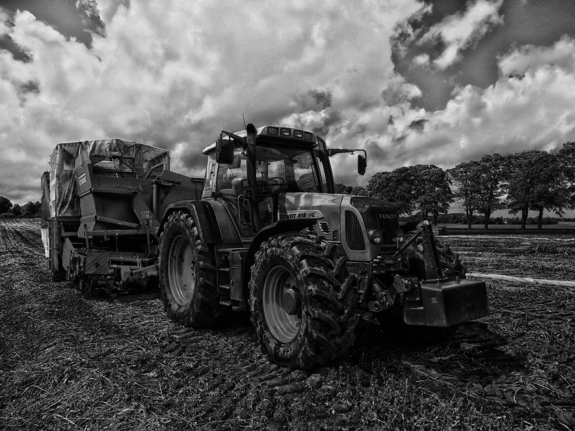 Integrated farming