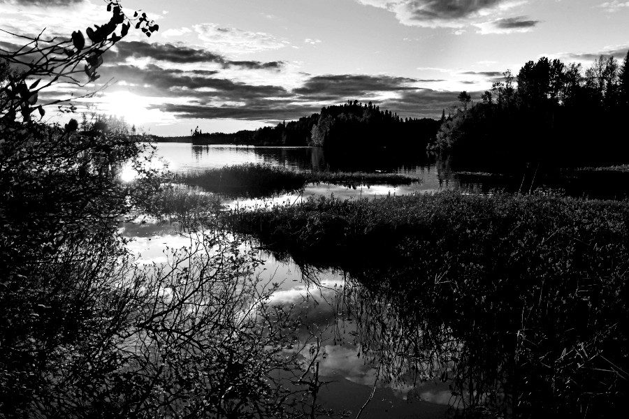 Strangers on the marsh