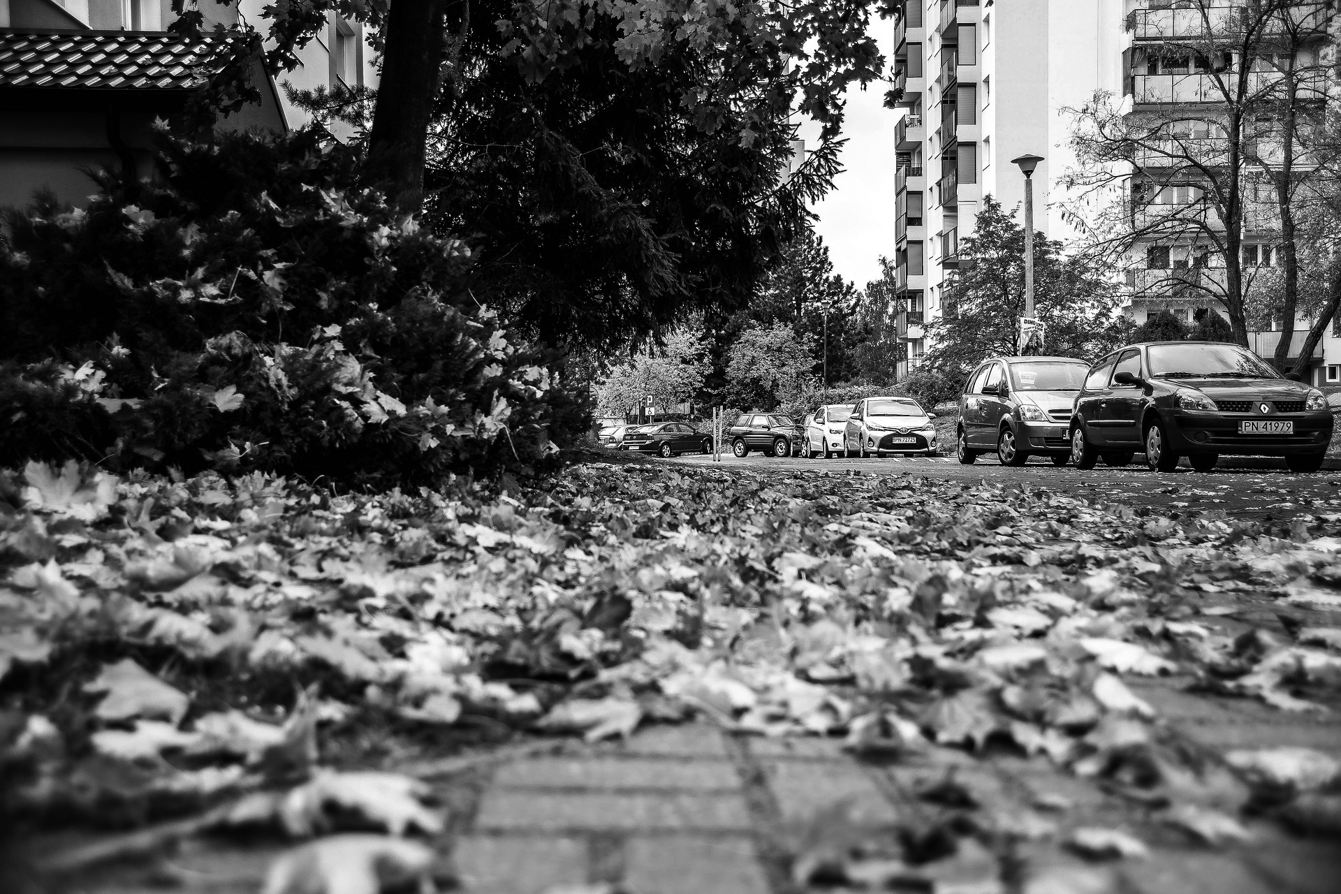 Got the autumn blues, put on my walking shoes