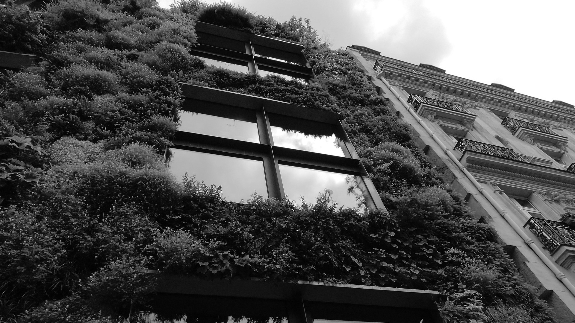 We can’t afford to just build greener