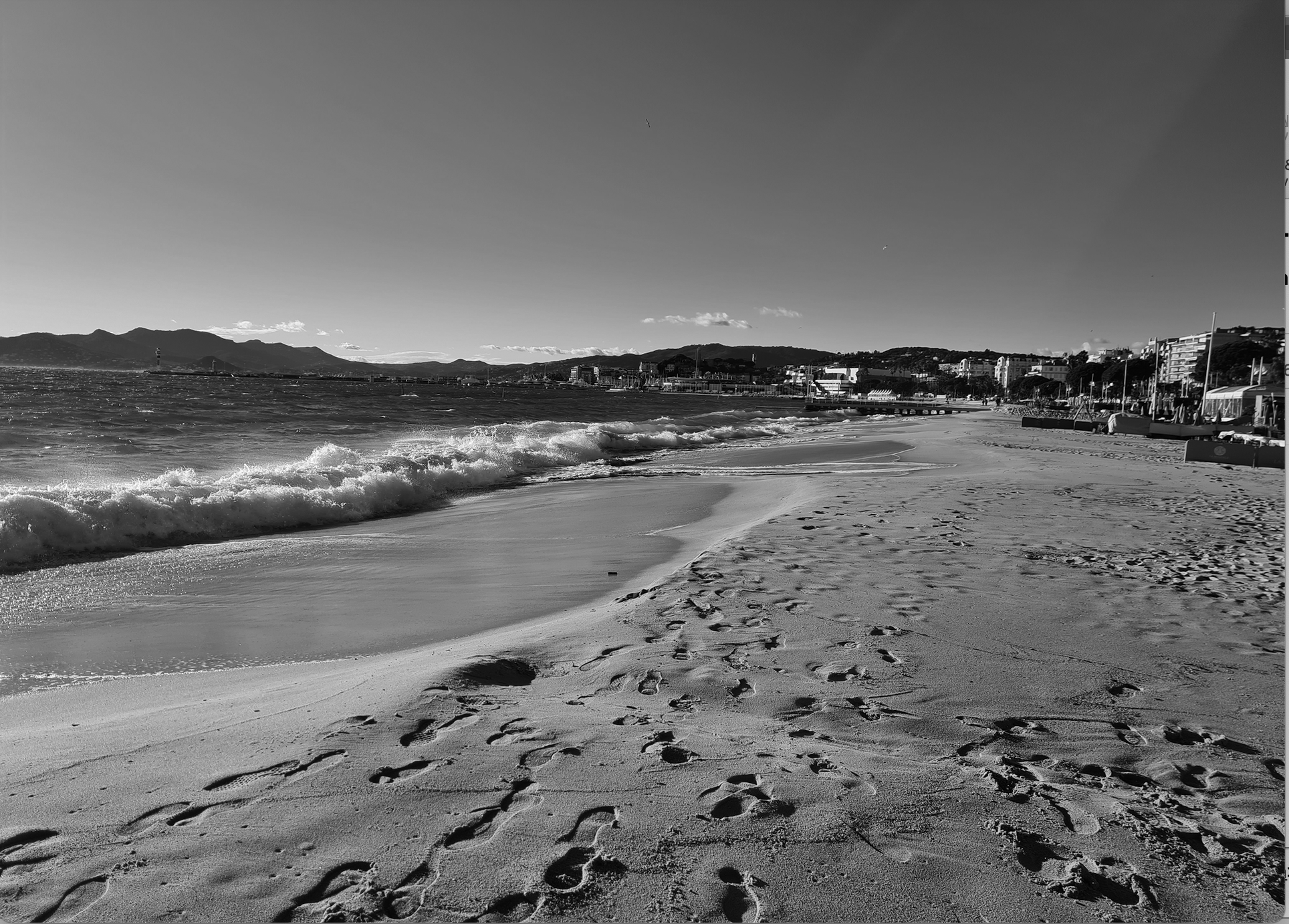 Letter from Paris: sea changes in Cannes