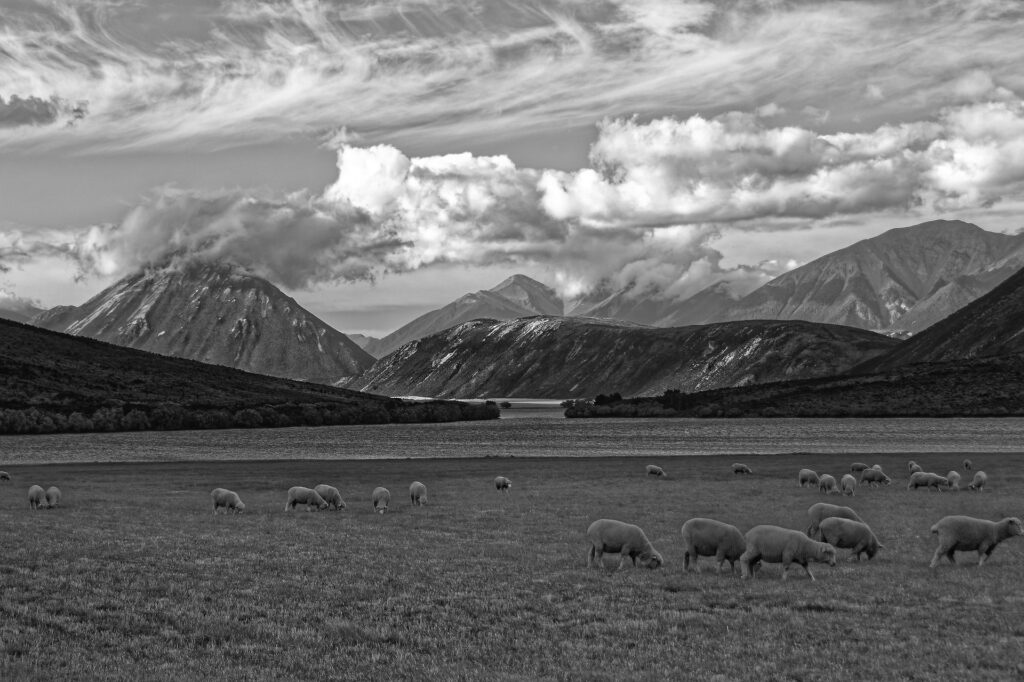 Craigmore commentary: the return of the land 