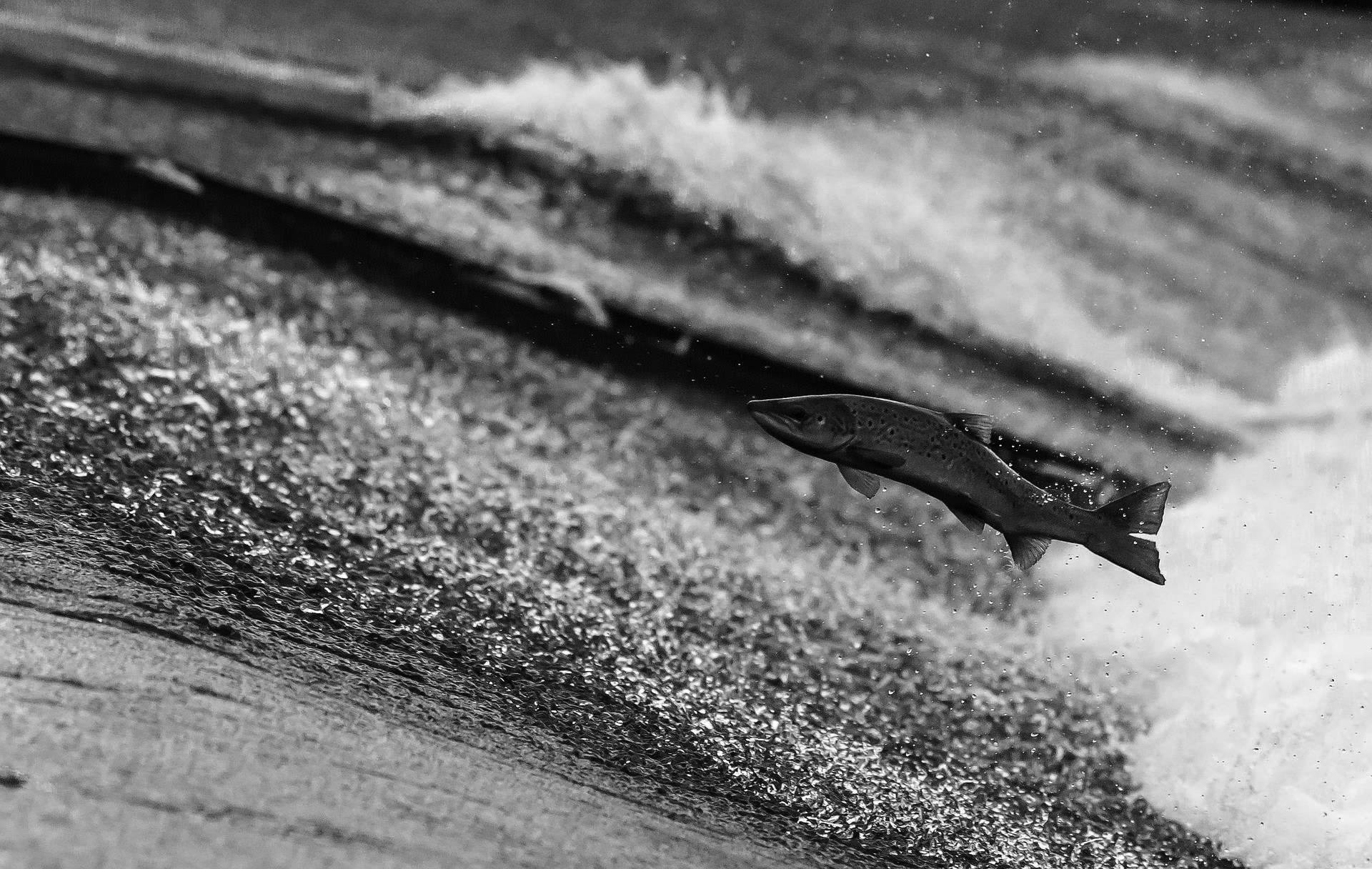 How to get others to go against the flow