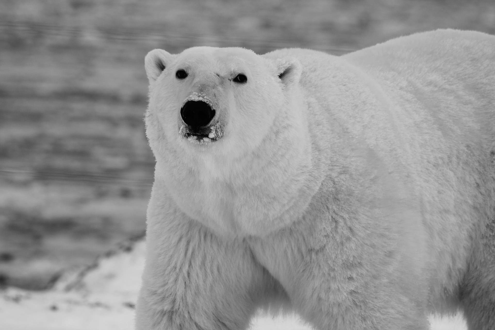 This bear market has left the FTSE 250 CAPE below fair value