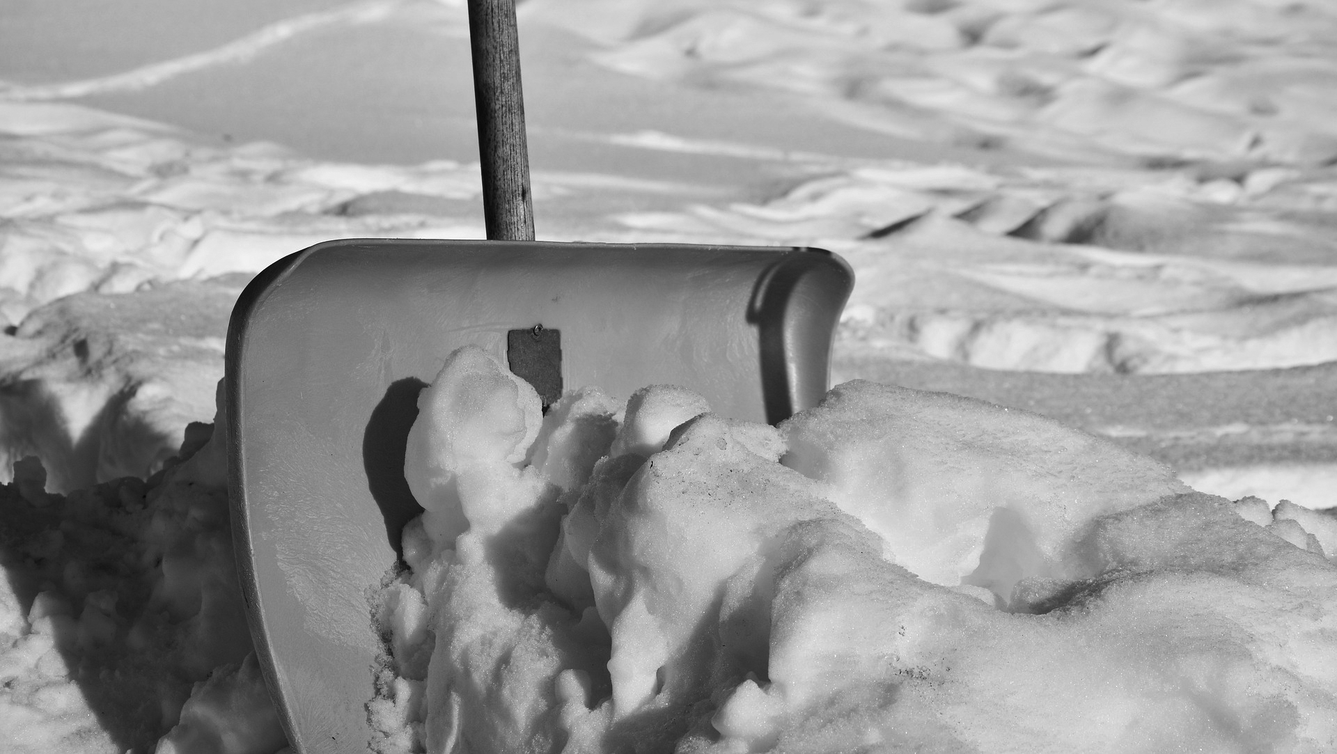 A lesson for the wise as winter approaches