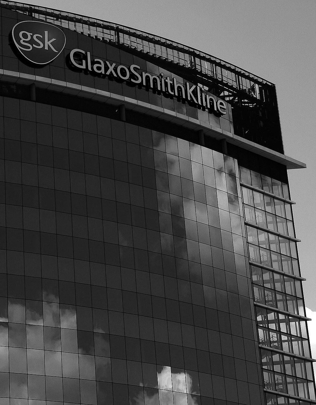 Is GSK a good choice for dividend investors?