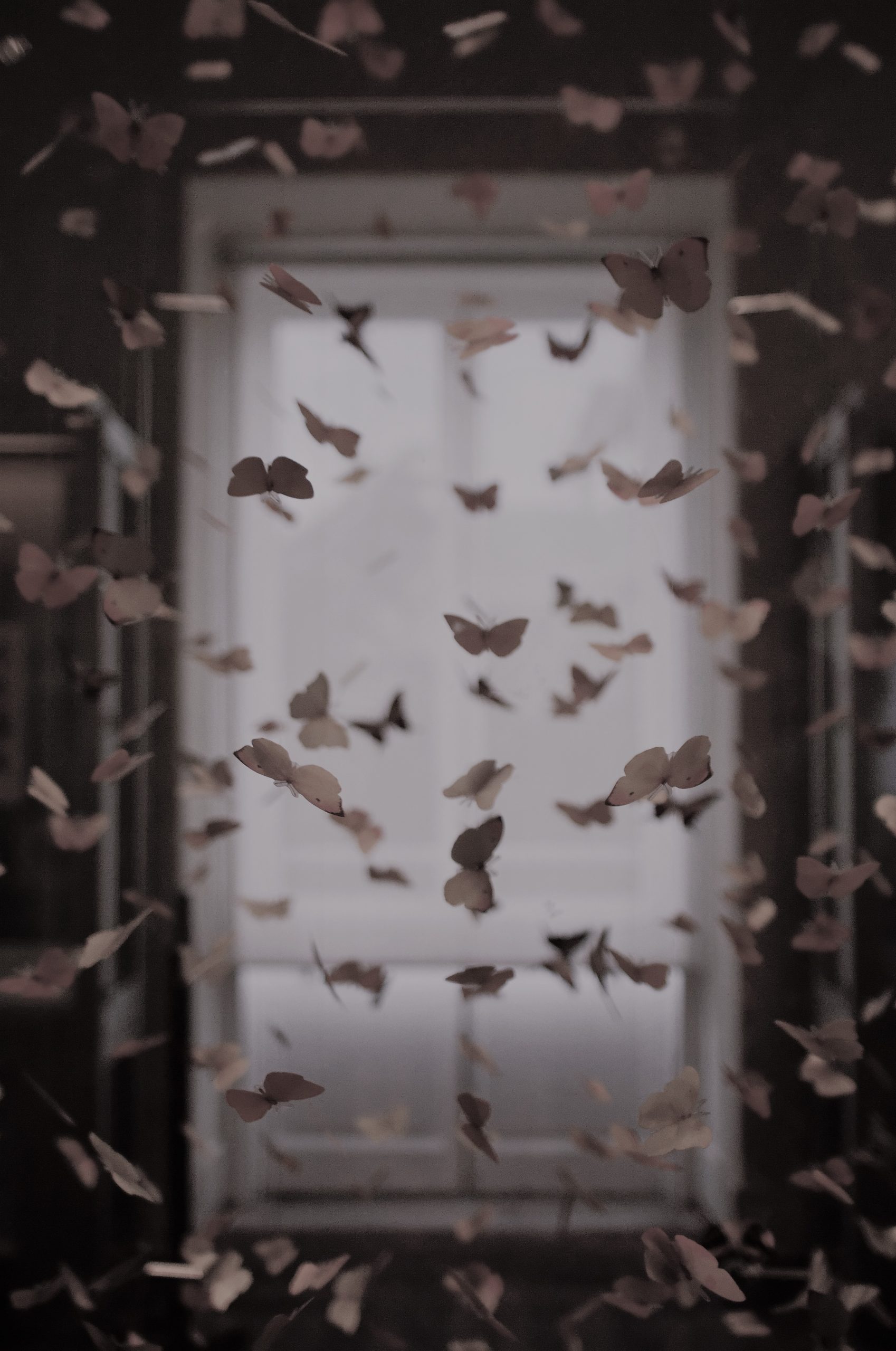 The Butterfly Effect