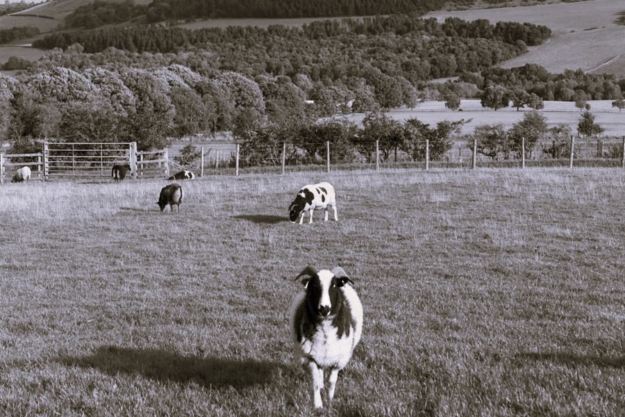 What have farmers got to do with it?