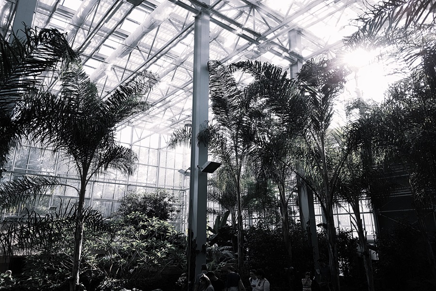 Fuzzy signals and fertile soil