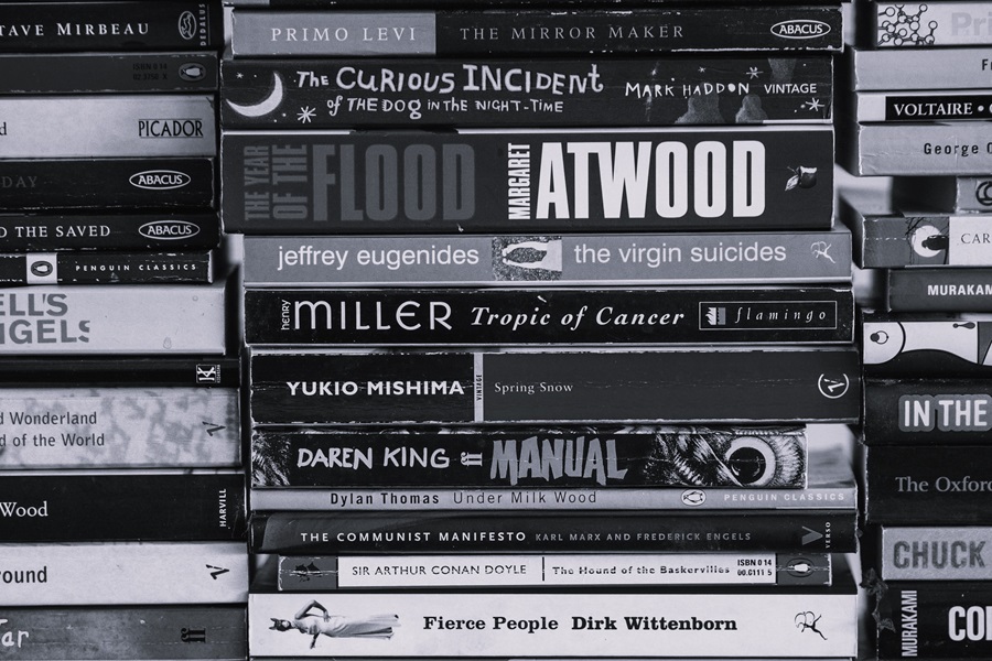 Booker Prize 2024: Sizing up the competition