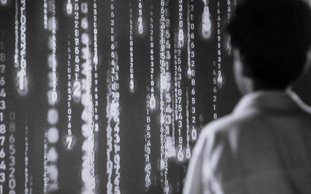 AI is not taking white collar jobs