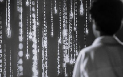 AI is not taking white collar jobs