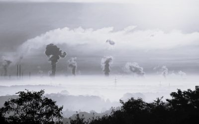 AI  is different from other asset bubbles